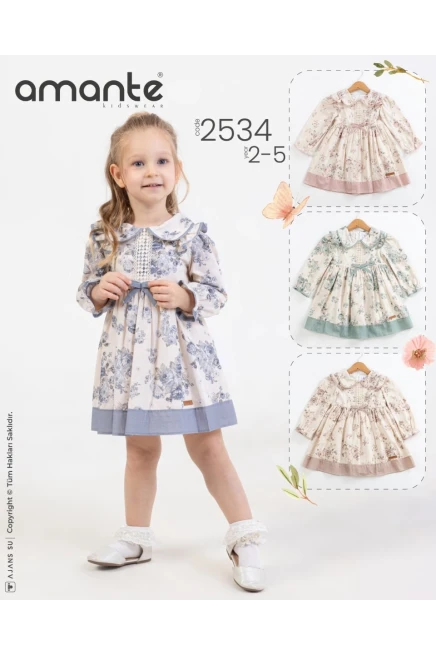 2-5 YEAR Girl Dress