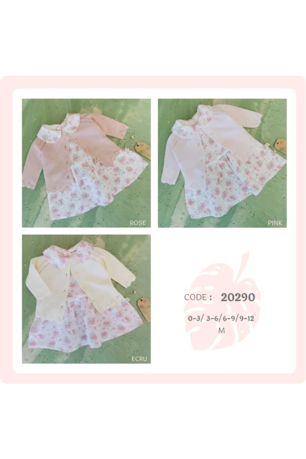 6-24 شهر فتاة فستان