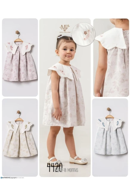 6-18 شهر فتاة فستان