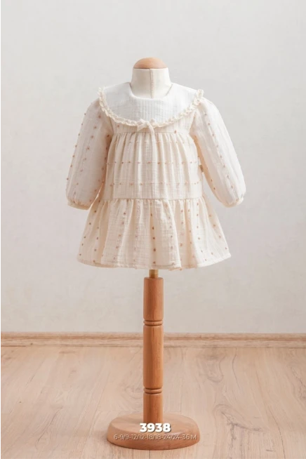 6-36 شهر فتاة فستان