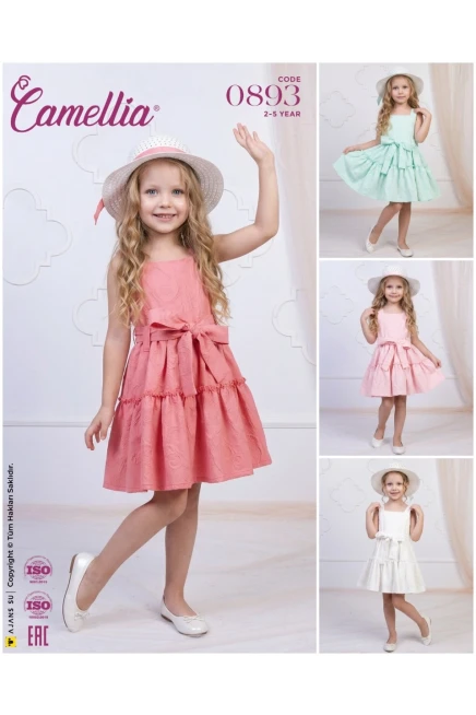 2-5 سنة فتاة فستان