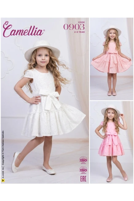 2-5 سنة فتاة فستان