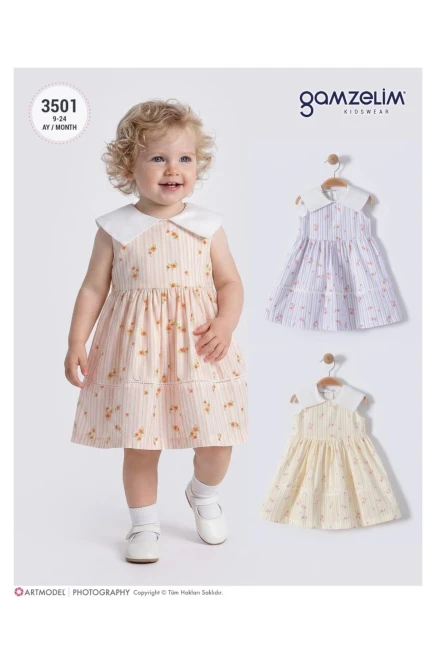 9-24 شهر فتاة فستان